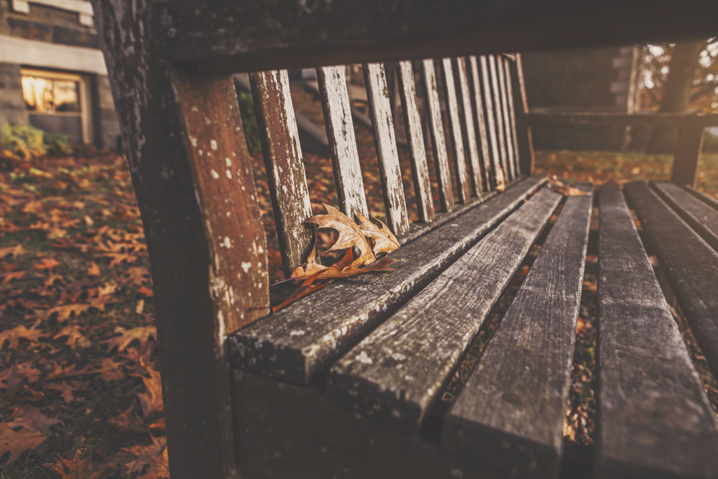 leaves bench